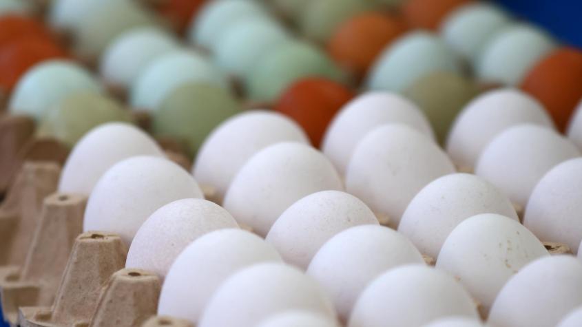 Sernac fiscaliza venta de huevos y aclara que concepto de "g