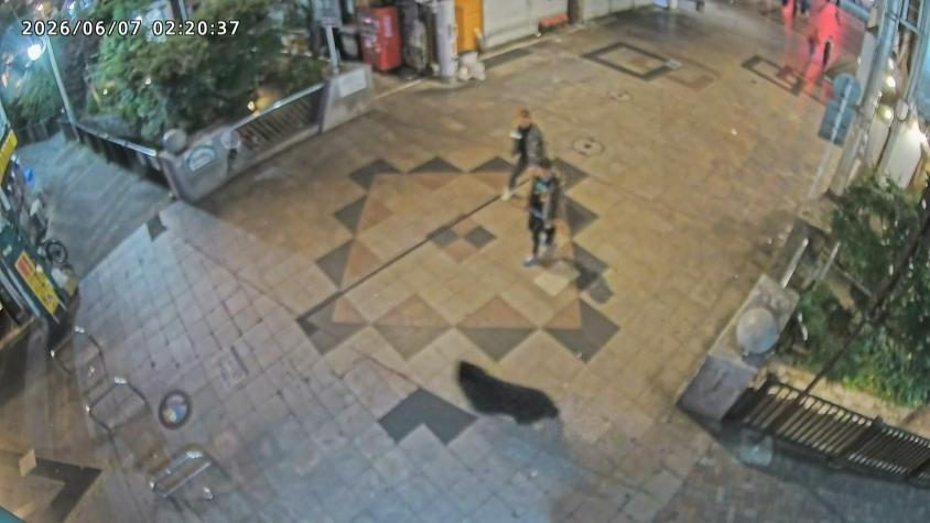 Ciudad japonesa cierra todas sus escuelas por la presencia de osos