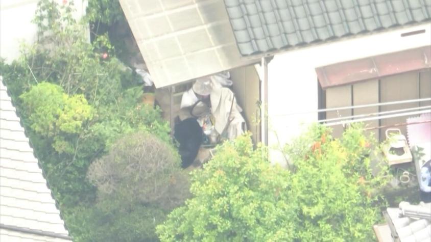 Capturan al oso que mantuvo en alerta a ciudad japonesa durante cuatro días