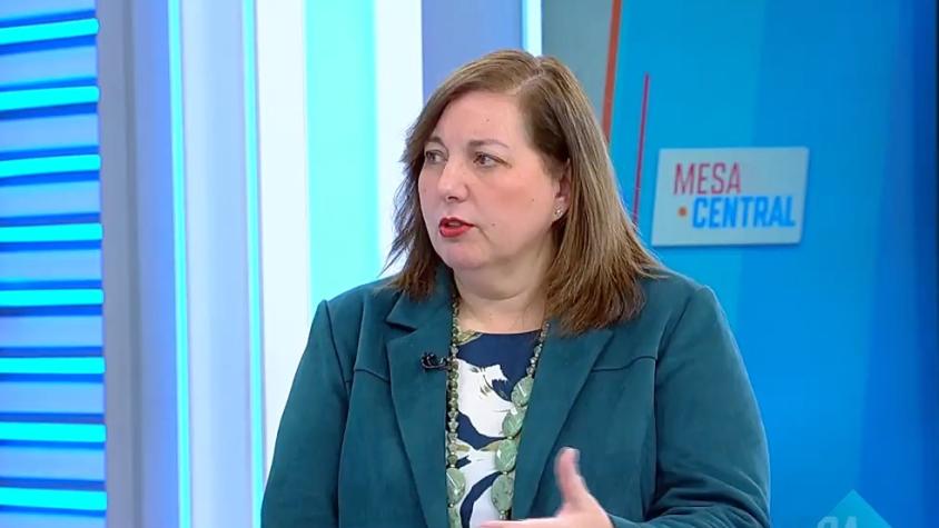 Senadora Vodanovic (PS) y megarreforma: "El Gobierno no ha tenido voluntad política de modificar el proyecto"