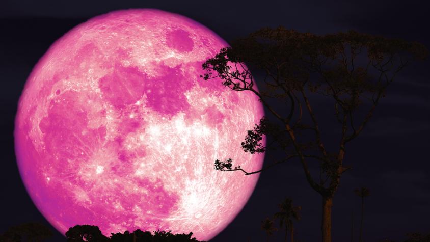 Luna de Fresa 2026: Cuándo y a qué hora podrá verse en Chile