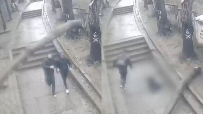 "Casi pierde la vida": adolescente resultó herido tras caída de árbol sobre su cabeza en Lota en medio de sistema frontal "Casi pierde la vida": adolescente resultó herido tras caída de árbol sobre su cabeza en Lota en medio de sistema frontal
