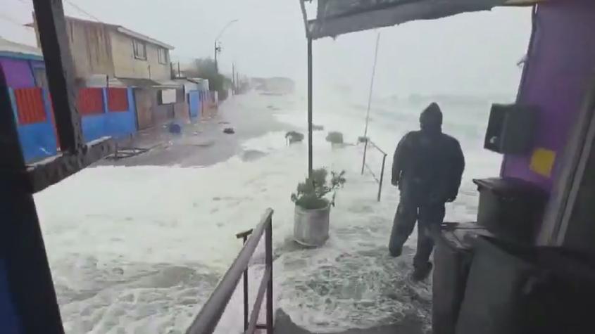 Senapred emite alerta para evacuar borde costero en Penco por marejadas Senapred emite alerta para evacuar borde costero en Penco por marejadas