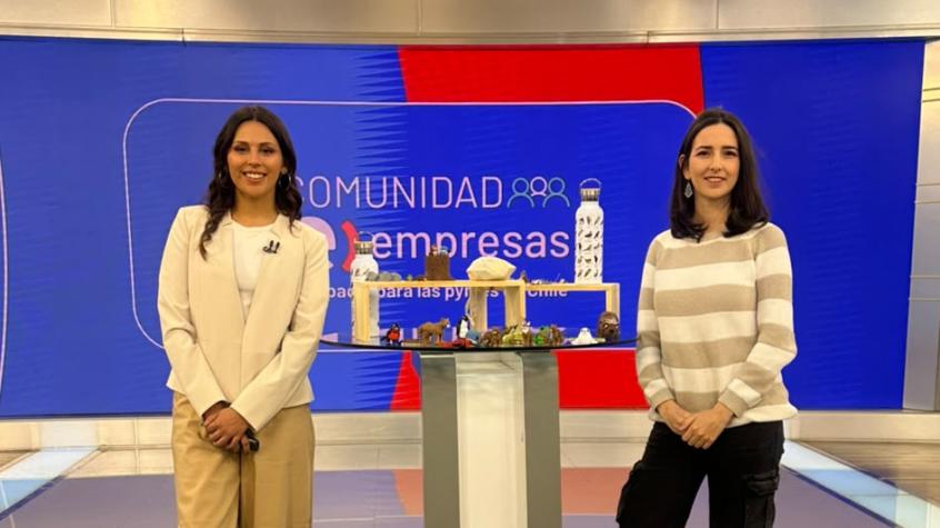 Cadena de Emprendedores: Fauna para Chile y sus juguetes de especies nativas