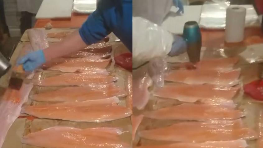 VIDEO| Denuncian trabajadores "maquillando" salmones en Puerto Montt