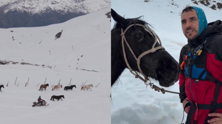 Pangal Andrade lideró rescate de 12 caballos en la nieve: yegua de 30 años se salvó gracias a un trineo improvisado 