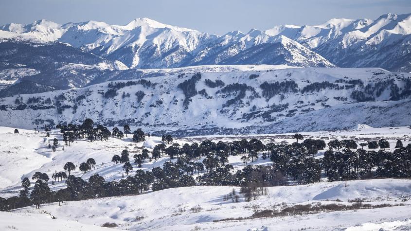 Caminos cortados y vecinos aislados: hasta un metro de nieve acumulada en La Araucanía