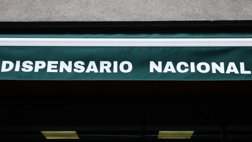 EXCLUSIVO Los secretos de “Imperio Ámsterdam”: al menos cuatro parlamentarios en ejercicio figuraron como inscritos en el Dispensario Nacional en 2025