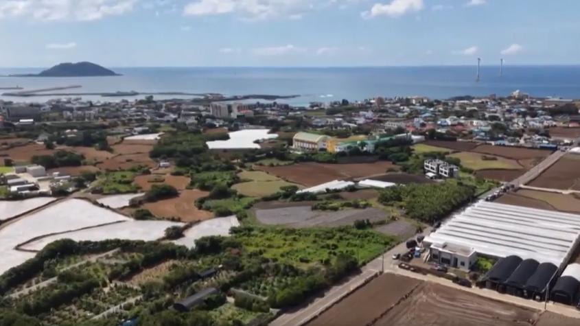 Misteriosas muertes escandalizan a paraíso de Corea del Sur 
