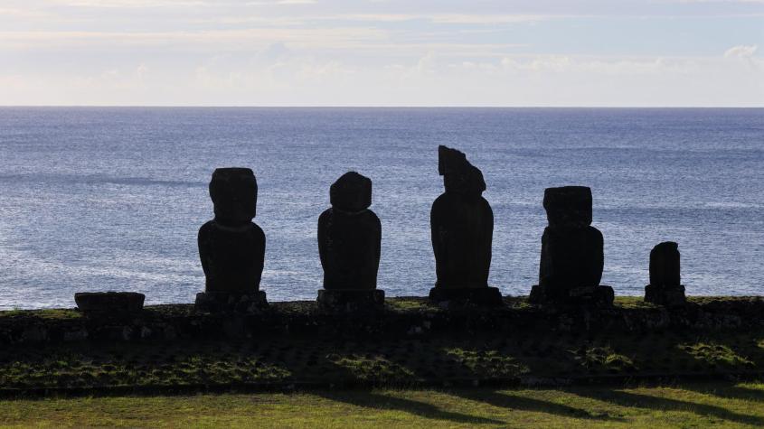 Armada detecta gigante flota china pescando cerca de Rapa Nui