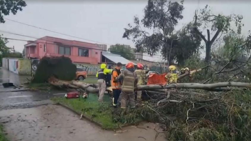 Mujer permanece grave tras ser aplastada por un árbol durante tornado en Estación Central: fue operada de urgencia
