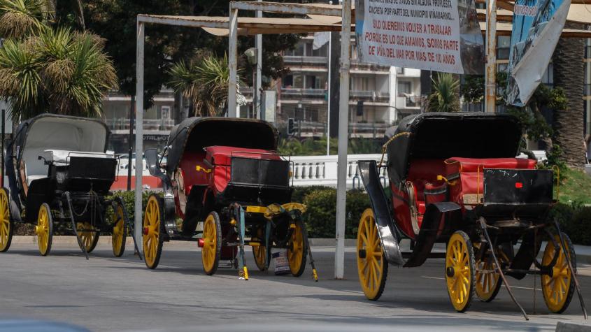 Coches victoria en Viña del Mar regresan a las calles con tecnología eléctrica