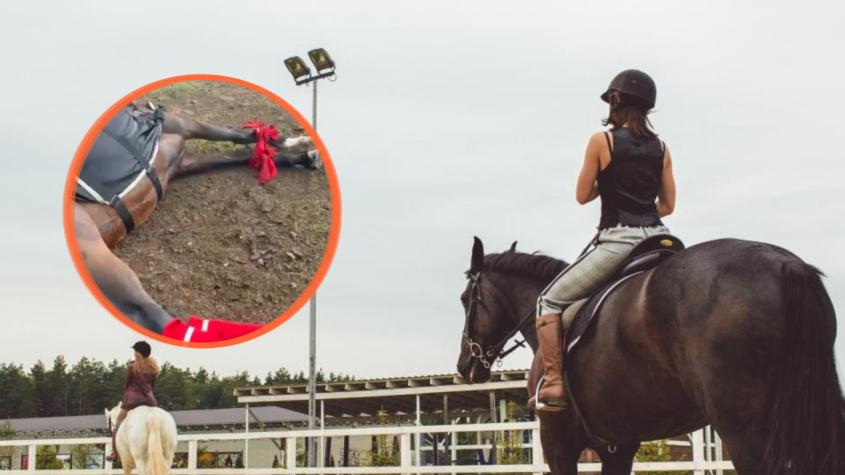 Un rayo impactó y mató a cuatro caballos de polo en plena práctica en Argentina