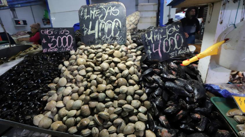 Alerta por marea roja en Chiloé: Decretan cierre preventivo de área marítima por presencia de veneno paralizante de los mariscos