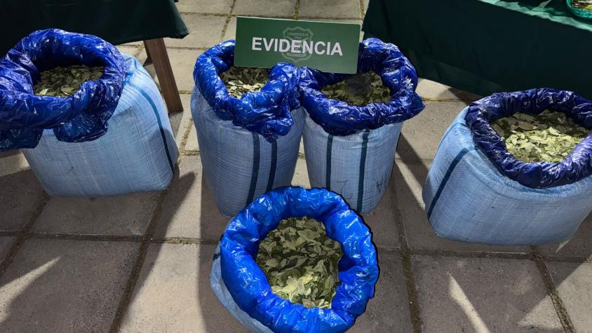 Detienen a seis bolivianos que tenían en su poder sacos con cerca de 100 kilos de hoja de coca en la RM